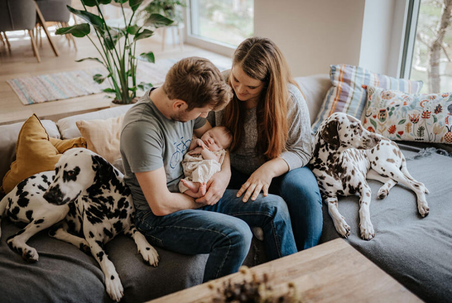 Homestory mit einem Paar mit Neugeborenem und zwei Dalmatinern von Fotograf Nicole Salfinger aus Aistersheim