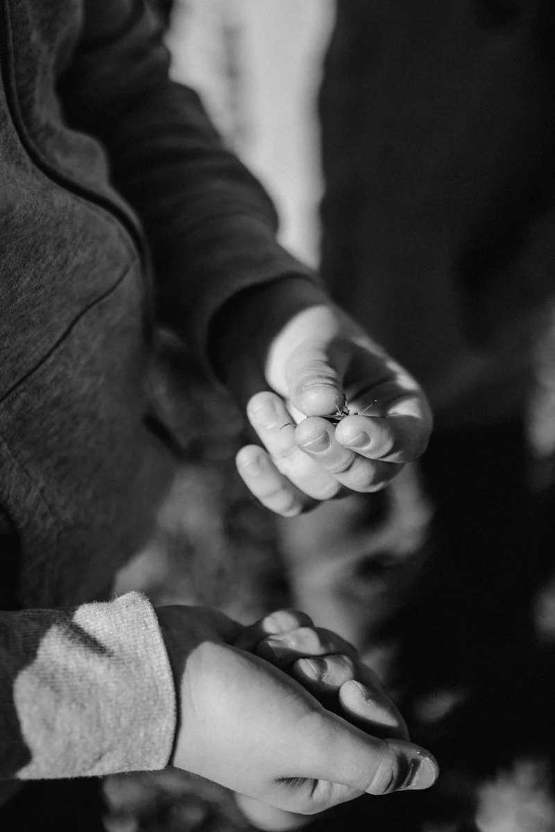 Schwarz-weiß Detailfoto eines Jungen der eine Heuschrecke in der Hand hält, fotografiert von Familienfotograf Kosia - die wunderschöne Aussicht diente als Kulisse für Familienfotos am Almsee